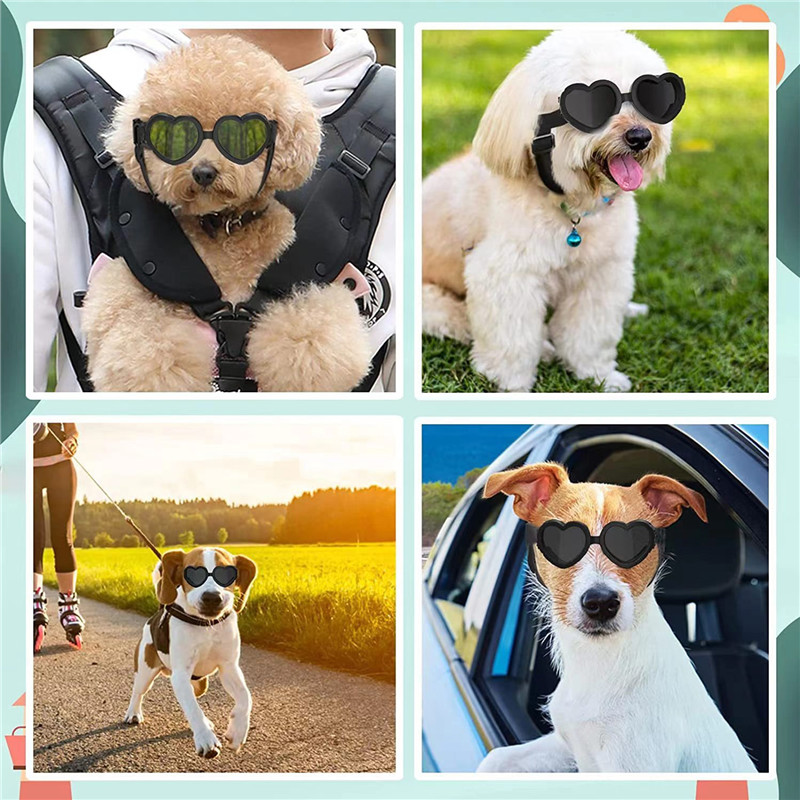 1 PC Heart-shaped Small Dog Su - Sunglass Retainer Cord avis et prix