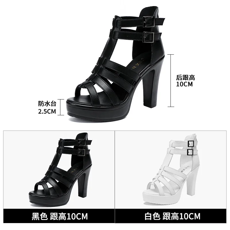 Gladiator Ladies Shoe for Wome - Casual Sandal Leather avis et prix